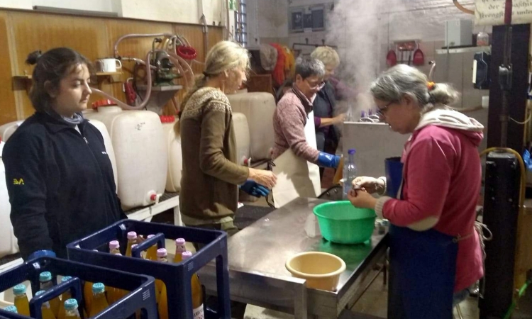 Achtung, frisch gepresst: Äpfel wurden zu leckerem Saft