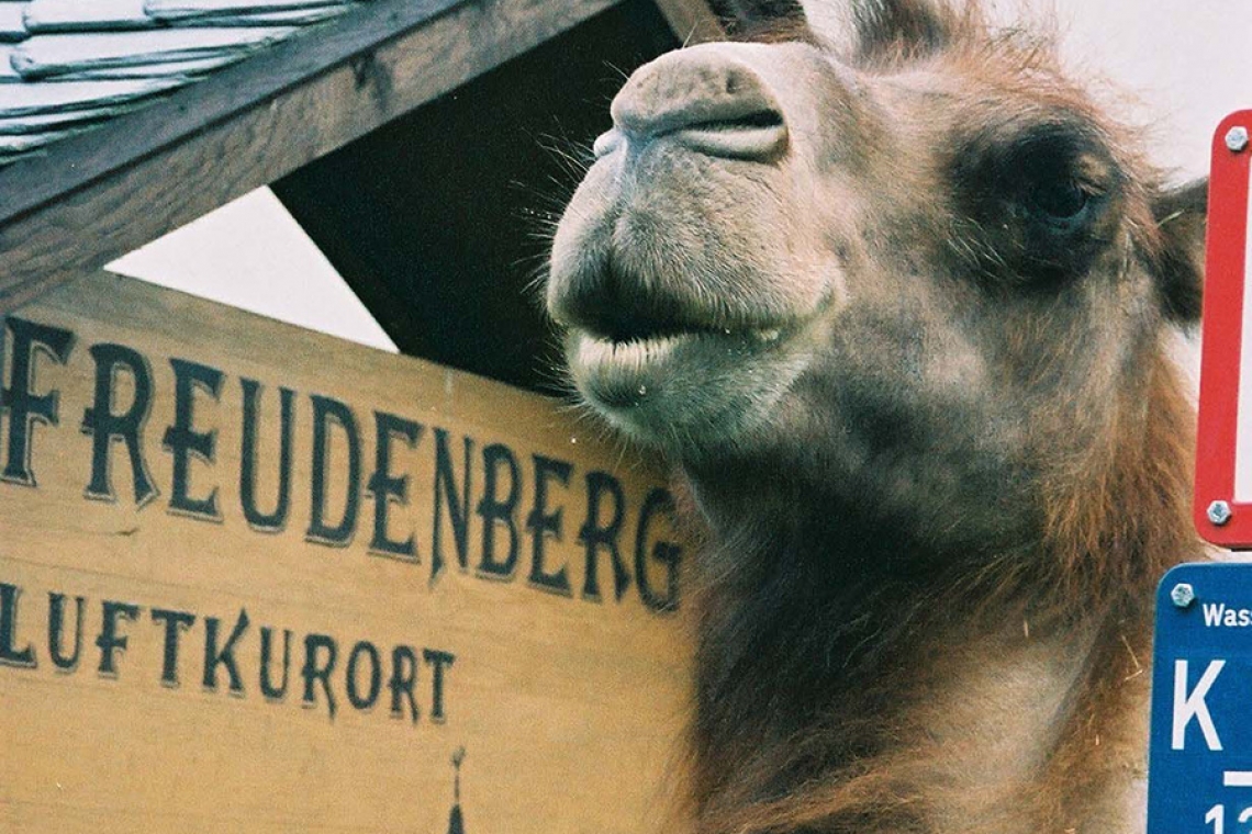 Flecker Luft ist ausgezeichnet: Freudenberg weiter &quot;Luftkurort&quot;