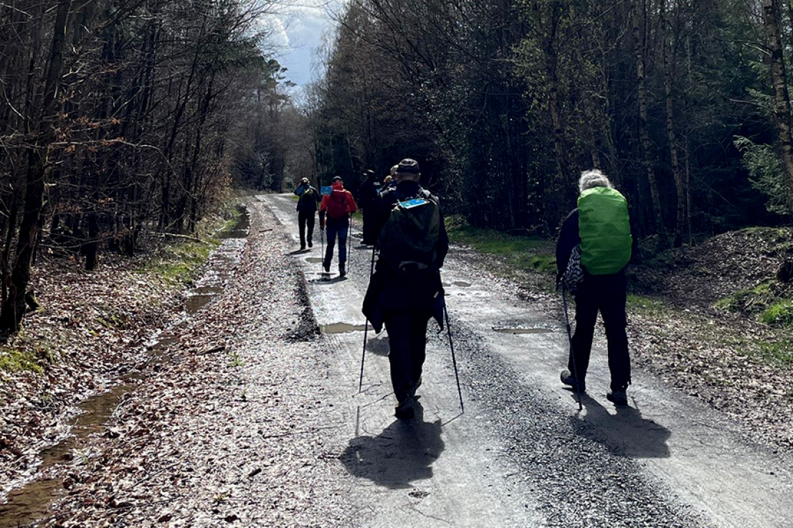 Ahrtal-Wanderung: Schmerzende Gelenke und traumhafte Ausblicke