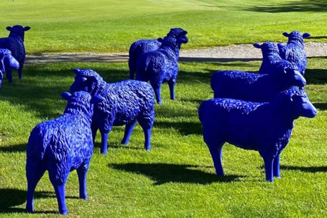 Die &quot;Blaue Friedensherde&quot; gratuliert dem KulturFlecken zum Geburtstag