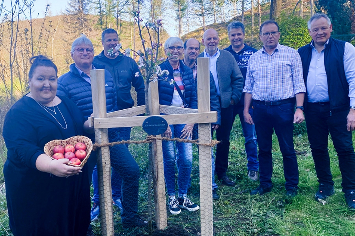 &quot;Freudenberger Schloßrenette&quot; zum 600. Geburtstag