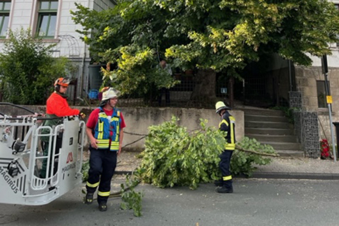 Heruntergefallene Äste blockieren die Burgstraße 