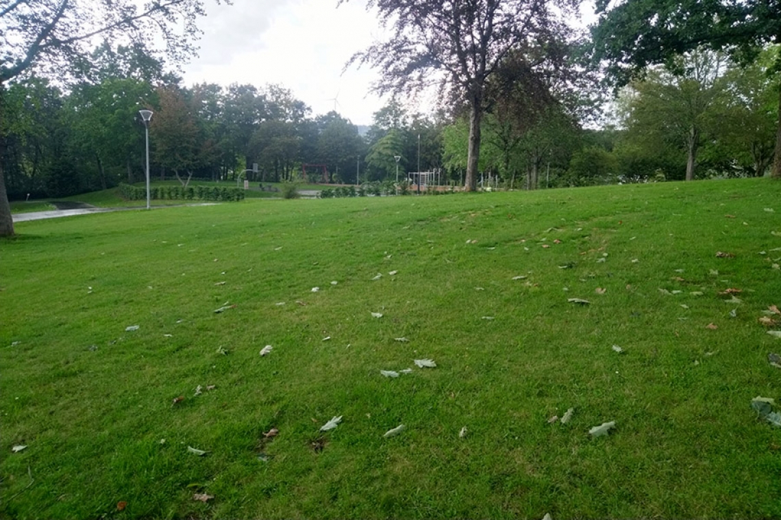 Das Wetter: "Rudelturnen" im Kurpark wird verschoben