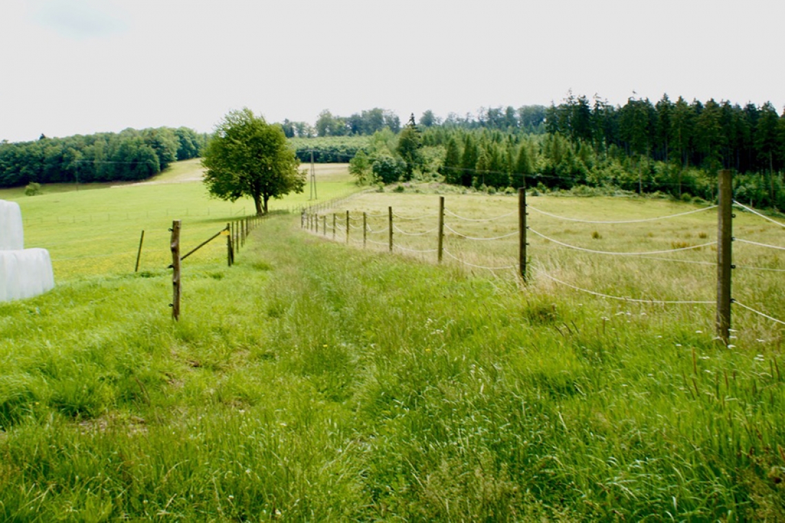 Ausstellung startet mit Wanderung auf historischen Pfaden