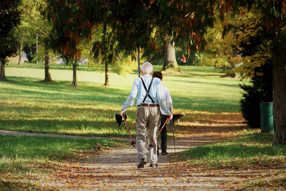 Informatives Herbst-Programm für die Generation 60+