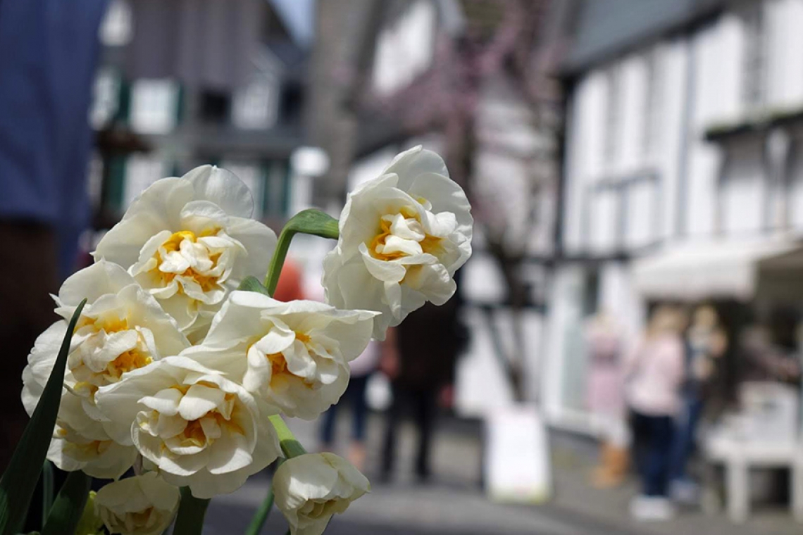 Am Sonntag lockt der Frühlingsmarkt in den Flecken