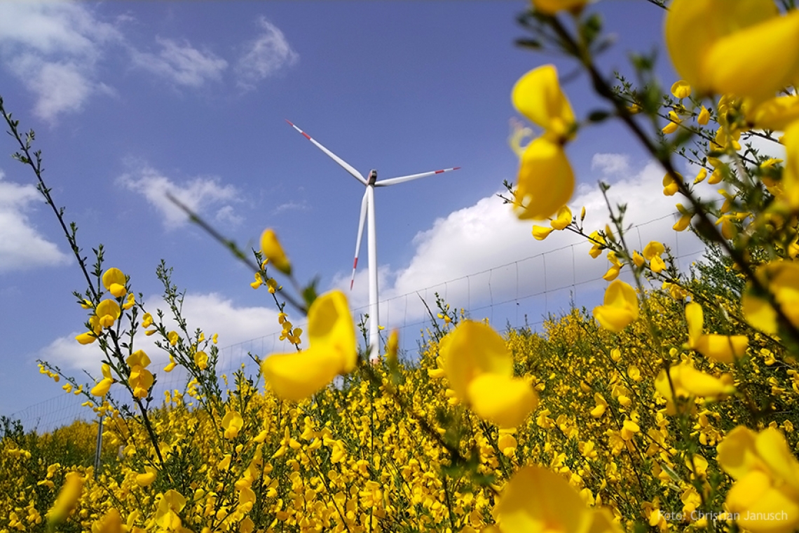 Stadt und Westenergie loben Klimaschutzpreis 2024 aus