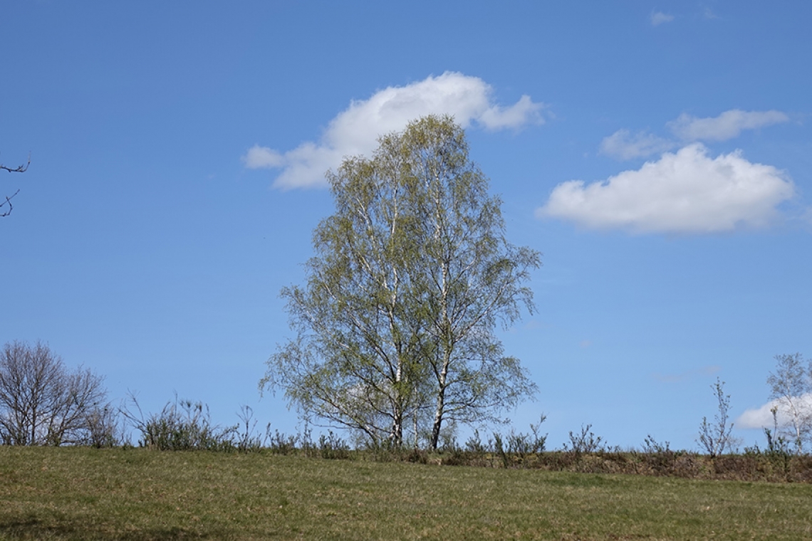 Radtour und Wanderung zur Trupbacher Heide am Sonntag