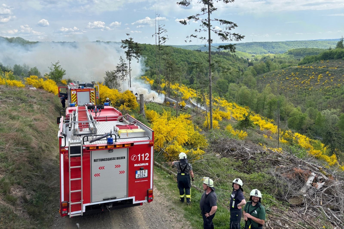 Am Knippen standen 100 Quadratmeter Waldfläche in Brand