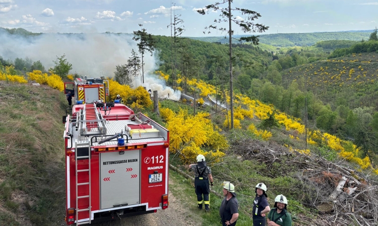 Am Knippen standen 100 Quadratmeter Waldfläche in Brand