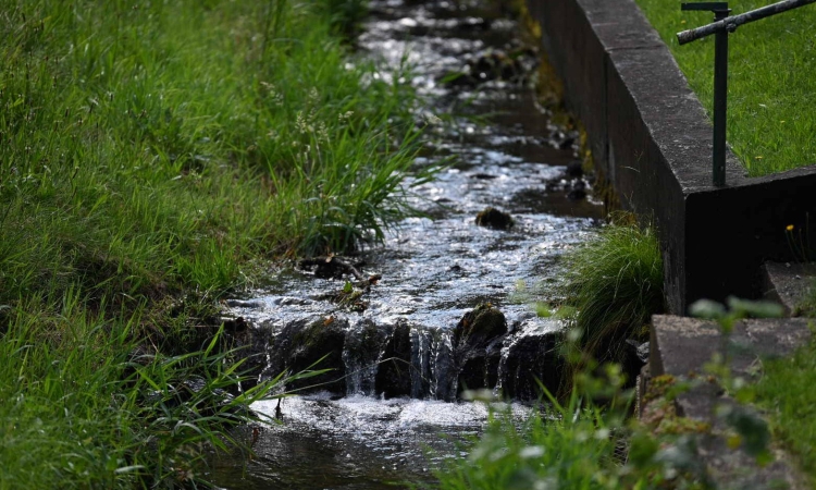 Ab sofort darf aus Bächen kein Wasser mehr entnommen werden