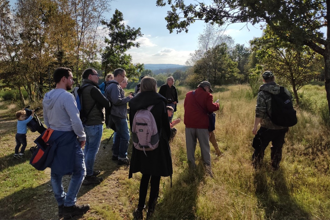 Pilze und Flechten auf der Trupbacher Heide erkunden