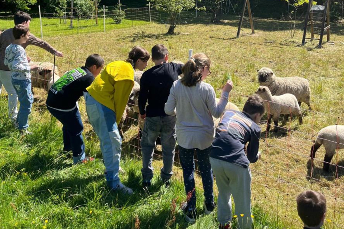 Spendenwettbewerb des Lionsclubs startet in die heiße Phase