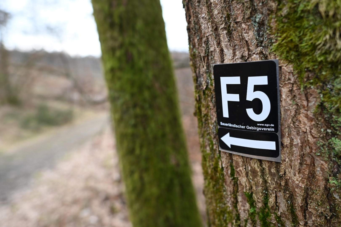 SGV wandert im November mit vielen Aus- und Einblicken