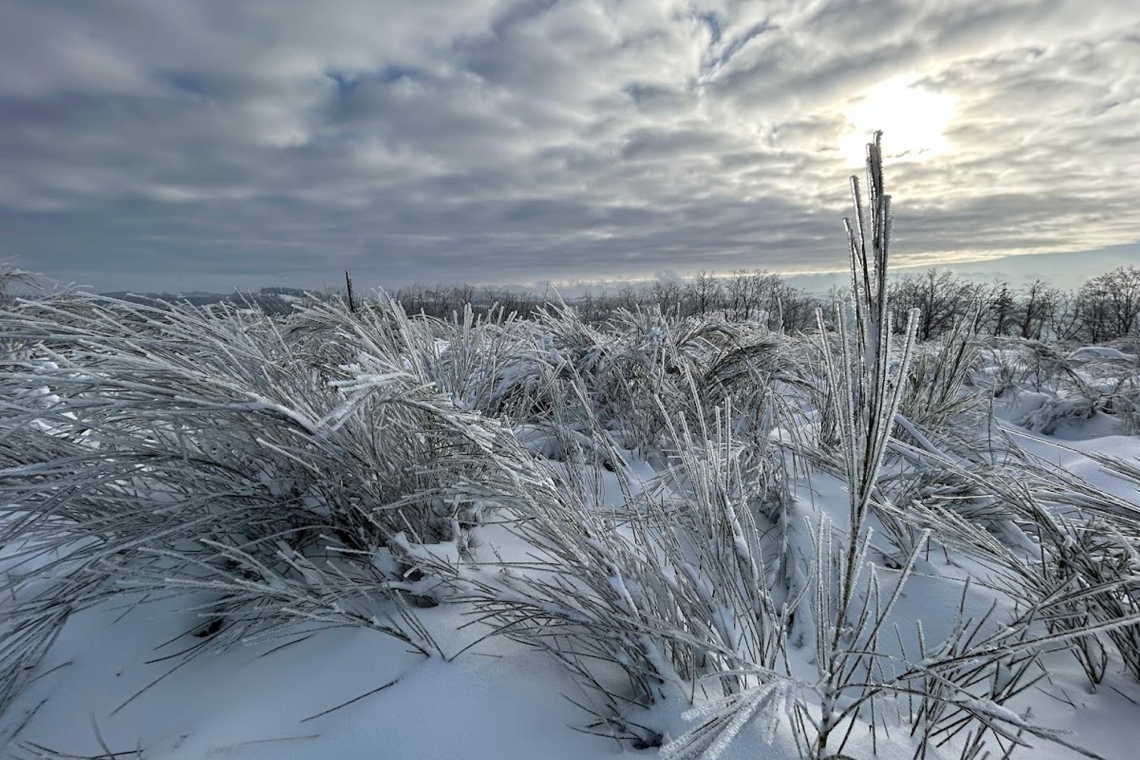 Nach Winterwunderland am Sonntag folgt Glatteis am Montag