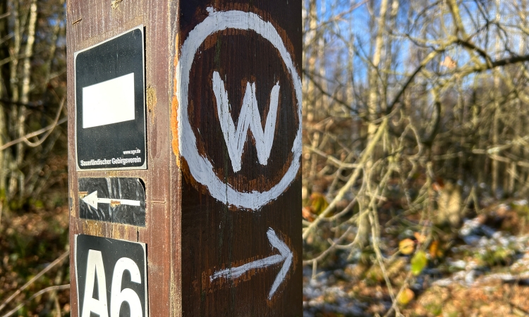 Mit Betty Bach lachend durch Freudenbergs Wälder