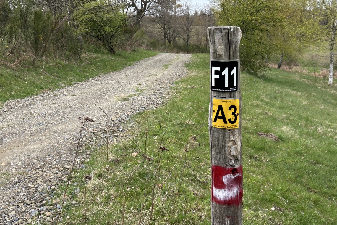 Waldbaden, Wandern und wunderbare Aussichten genießen