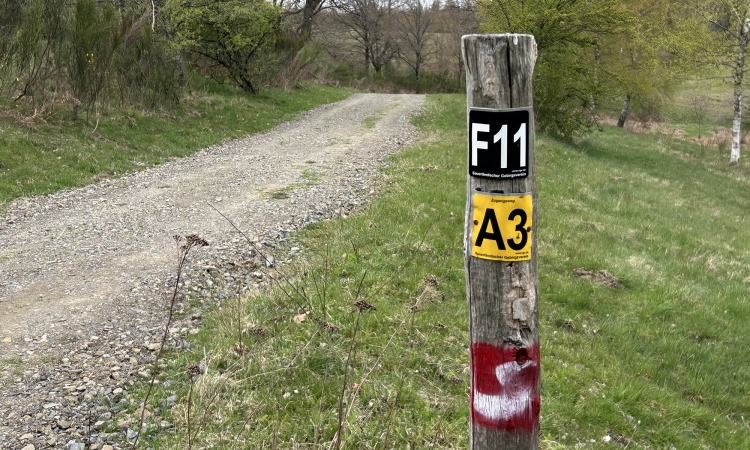 Waldbaden, Wandern und wunderbare Aussichten genießen