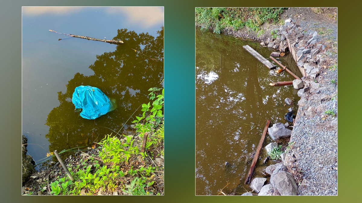 Blinder Vandalismus: Am Asdorfer Weiher haben Unbekannte am Wochende ihre blinde Zerstörungswut ausgelassen. 