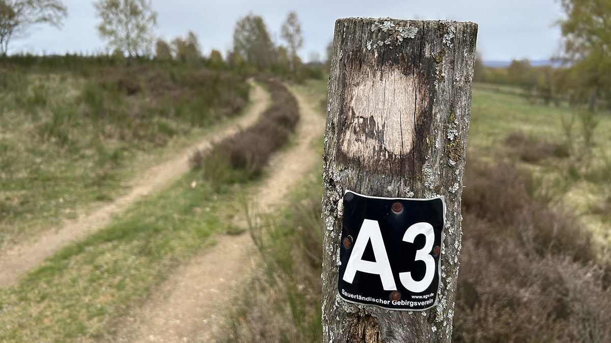 Die SGV-Abteilung Freudenberg Land wandert im September unter anderem wieder in die Trupbacher Heide. Aber auch weitere spannende Touren stehen auf dem Programm.