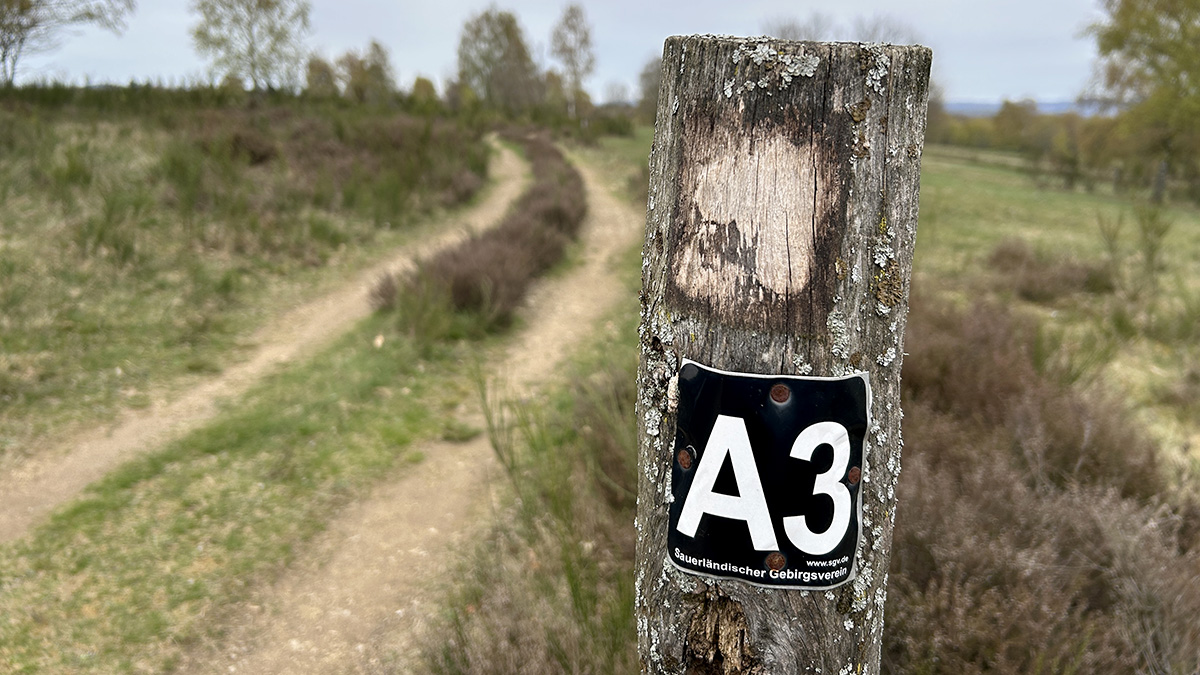 Auch im November stehen bei der SGV-Abteilung Freudenberger Land reizvolle Wanderstrecken auf dem Plan - unter anderem nach Bühl und Plittershagen. 