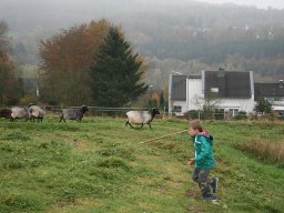 img_0137