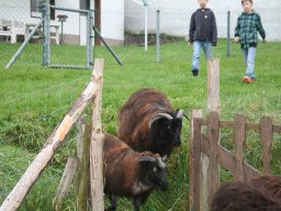 img_0180