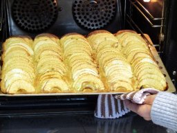 img_4092