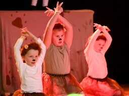 24-11-30_stiftungsfest-atg_029